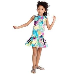 Crewcuts Multicolored Drop Waist Dress Size 14 Girls